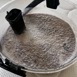 HYLA Matratzenreinigung